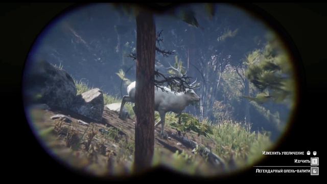 Легендарный олень Вапити RDR2