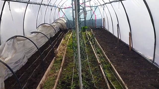 Що саджати в теплиці в листопаді. Що виросло в моїх теплицях. смотреть онлайн