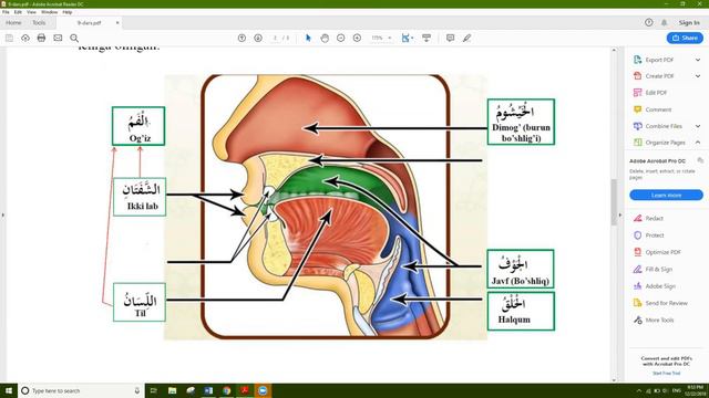 Tajvid 9 - Dars Xos Va Ona Maxrajlar