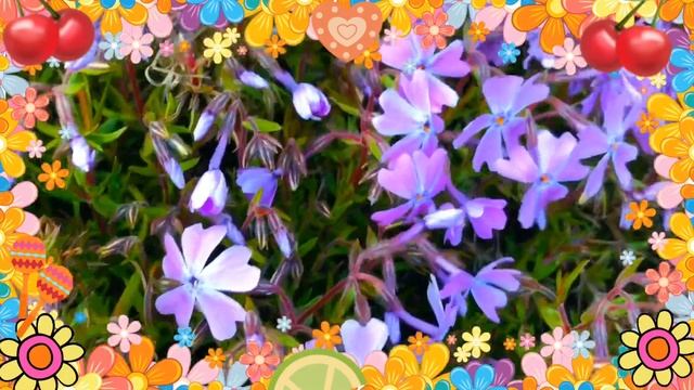 Бабочки-цветочки улыбаются тебе. И воркуют голубочки на оттаявшей земле... смотреть онлайн