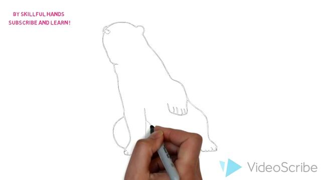 How to Draw a Polar Bear / Как нарисовать полярного медведя смотреть онлайн