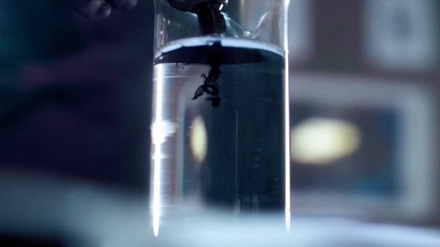 Творческая работа "МАСТЕР ТАТУИРОВКИ" | 2022 г. смотреть онлайн