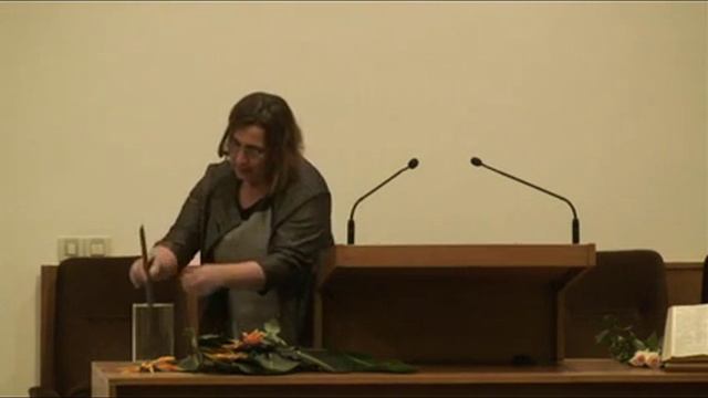 Strelitzia, cvijet koji je spreman poletjeti – Debby Birach-Mayer, 28.9.2016 смотреть онлайн
