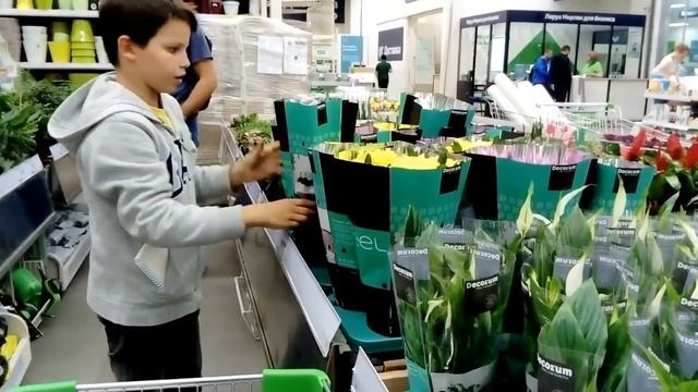 Vlog из Леруа Мерлен! Покупаем всё для шмелиной фермы! НЕДЕЛЯ ВЛОГОВ на Alisa Channel ??️?? смотреть онлайн