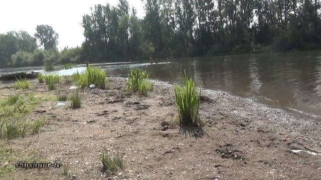 Береги природу, мать вашу! смотреть онлайн