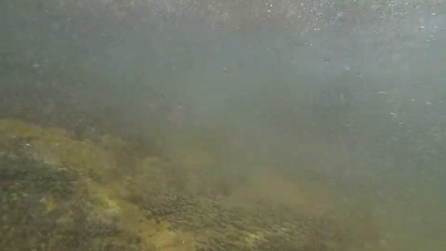 Берега южной Португалии смотреть онлайн