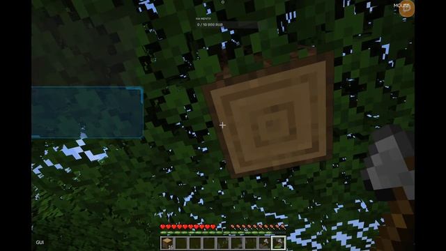 ВЫЖИВАНИЯ В МАЙНКРАФТЕ НА МОЕМ СЕРВЕРЕ смотреть онлайн