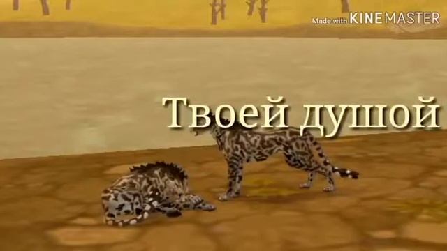 Клип «Танцы под фонарём» *Wild Craft* смотреть онлайн