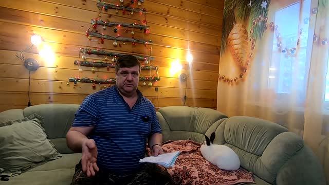 КАК КОРМИТЬ КРОЛИКОВ? ЧТО БЫ НЕ ПРОГОРЕТЬ!!!! смотреть онлайн