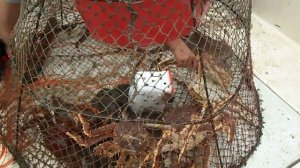 Краболовка