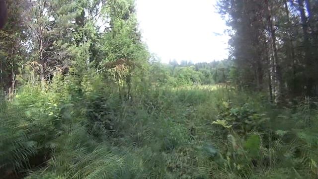 экспедиция к месту крушения самолета Аэрокобра 1943 год смотреть онлайн