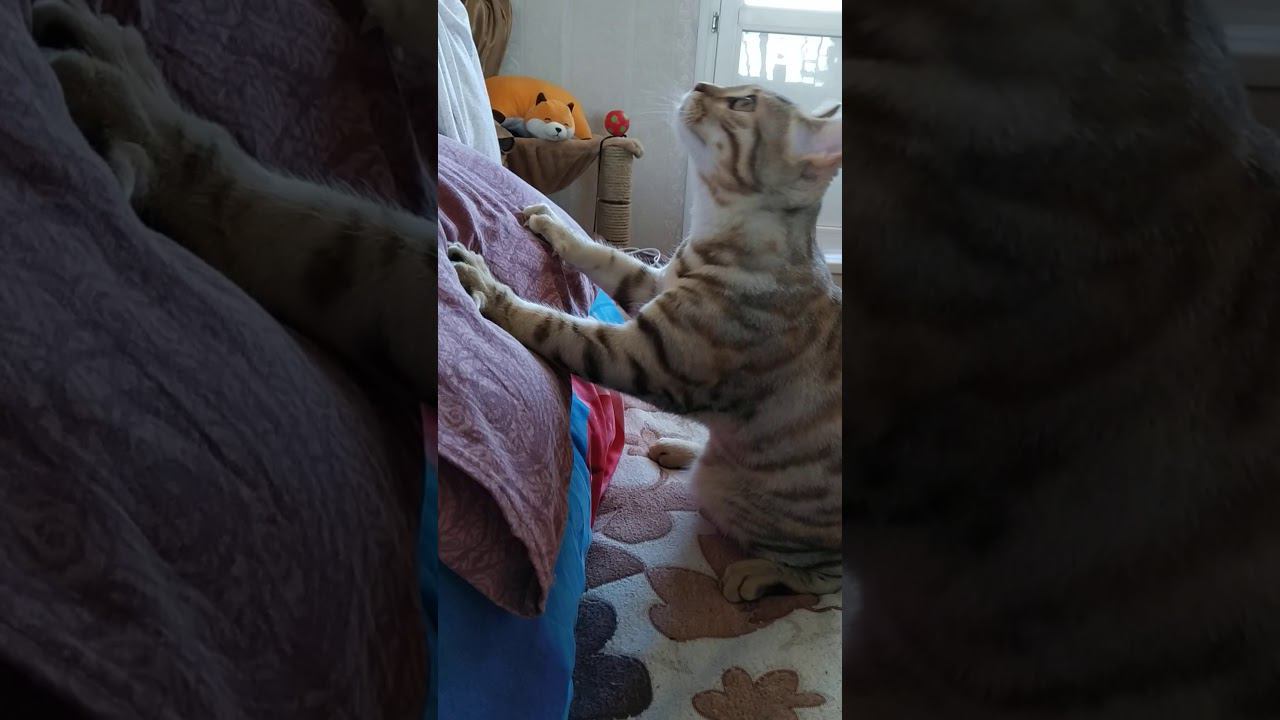 22 января 2020 г. смотреть онлайн