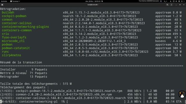 Alma Linux : Migration depuis CentOS 8 смотреть онлайн