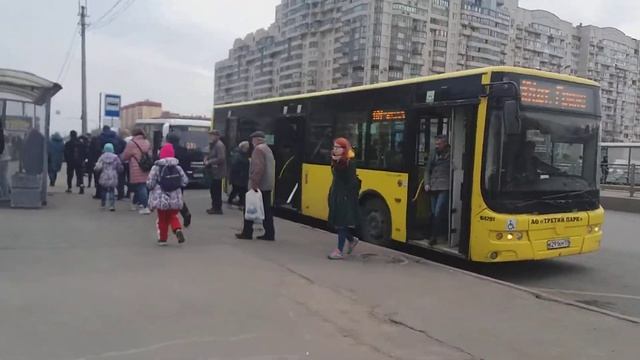 Прибытие и отправление 101 автобуса. Ст. м. Беговая смотреть онлайн