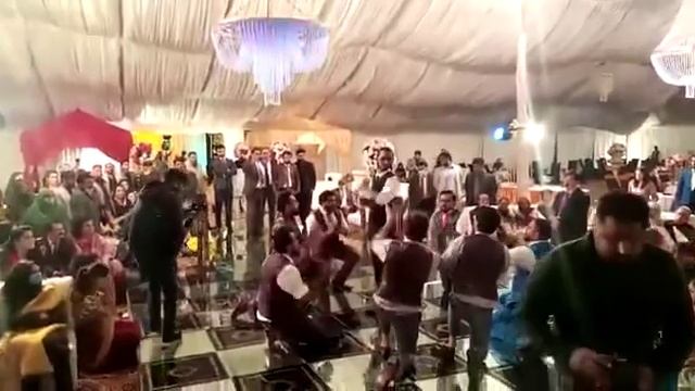 Turkish dance at paki wedding смотреть онлайн