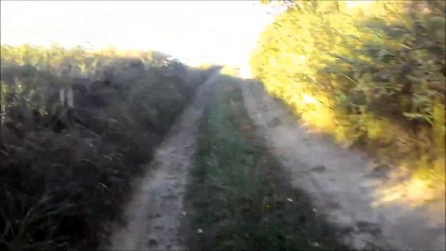 ВЕЛИКИЙ поход К ДРЕВНЕМУ КУРГАНУ , на мотоциклах МИНСК и ИЖ ЮПИТЕР 5