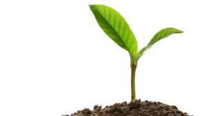 Сотворение мира - как Бог создал Вселенную