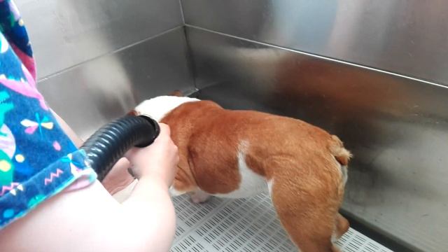 Ащън на баня. смотреть онлайн