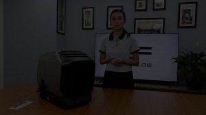 Портативный кондиционер EcoFlow Wave 2