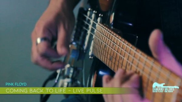 Pink Floyd - Live PULSE - Line 6 Helix - HX Stomp - Patch