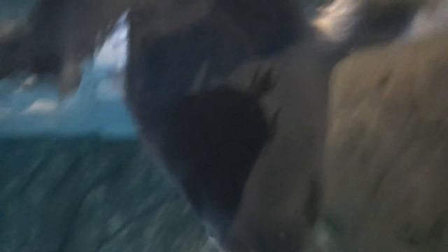 ПОЧЕМУ НЕТ ВИДЕО? ЧТО СО МНОЙ ПРОИЗОШЛО. смотреть онлайн