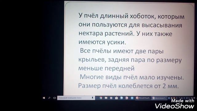 ПЧЁЛЫ, ДЕНЬ ЗЕМЛИ ∆ ИГРА + ИНФОРМАЦИЯ •|• Cute Kids смотреть онлайн