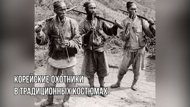 Первая видеоэкскурсия «Земли леопарда» участвует во всероссийском фестивале смотреть онлайн