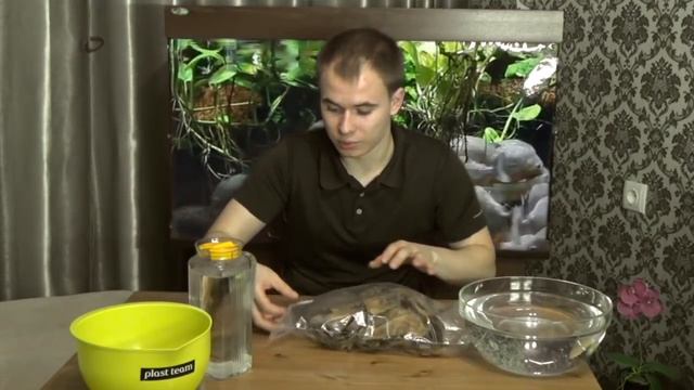 Черная вода смотреть онлайн