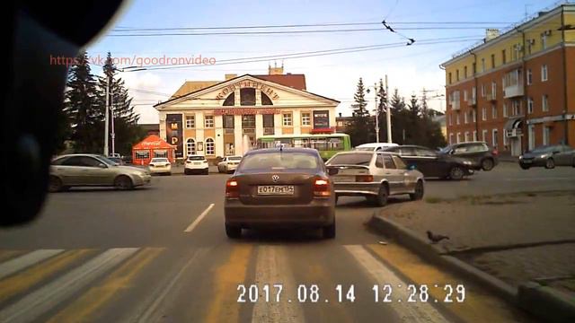 Когда птицы умнее пешеходов смотреть онлайн