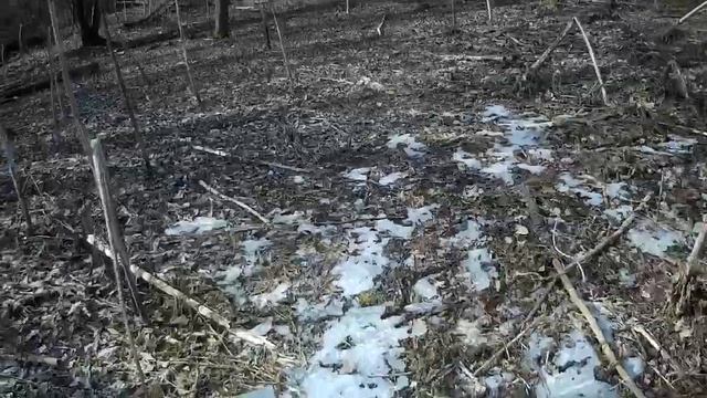 Минитрактор за дровами