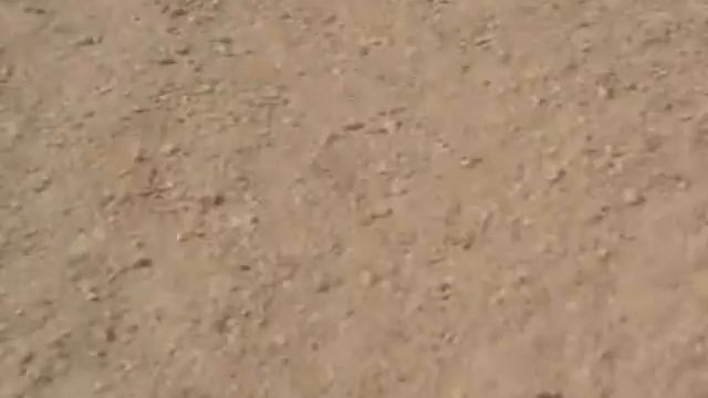 Египет.Экскурсия сафари на квадрациклах.2011 год.RRR смотреть онлайн