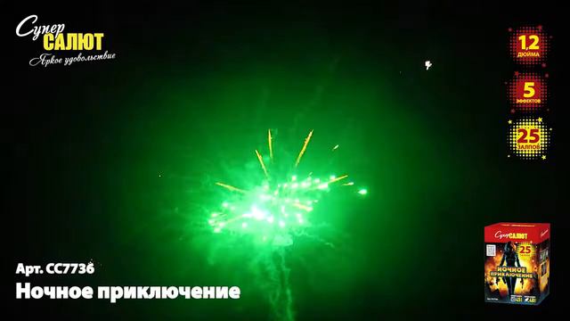 СС7736 Ночное приключение смотреть онлайн