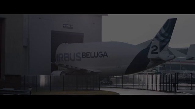 Royal Anniversary - Coleg Cambria смотреть онлайн