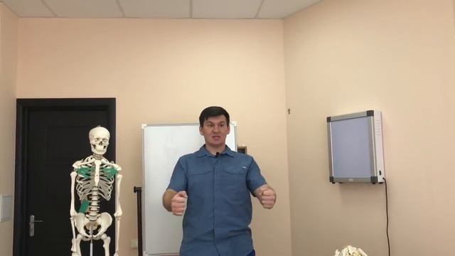 Самые вредные упражнения для позвоночника в тренажерном зале смотреть онлайн