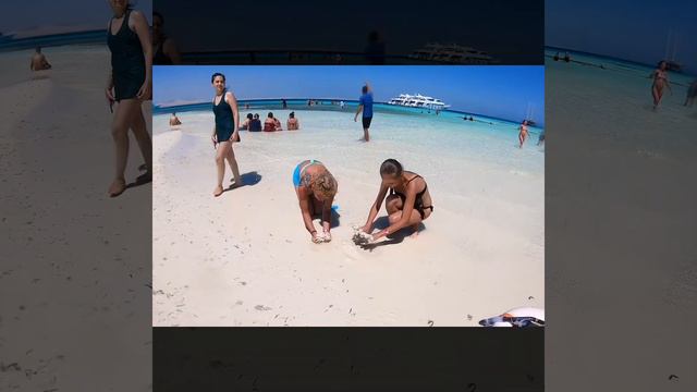 Красное море белый остров смотреть онлайн