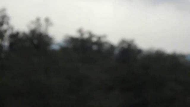 Watch tower view in Dhikalajim corbett park,poor quality of Nikon's L120. lost focus in zoom смотреть онлайн