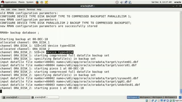 RMAN Defaults Parallelism Lession 7 смотреть онлайн
