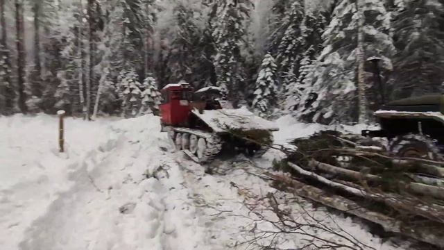 РАБОТА В ЛЕСУ ОТ А ДО Я! ТРАКТОР ТДТ 55 ТРЕЛЕВОЧНИК В ДЕЛЕ! УРАЛ 4320 смотреть онлайн