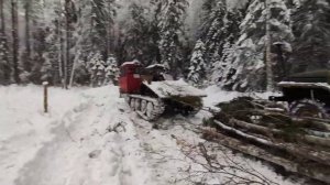 РАБОТА В ЛЕСУ ОТ А ДО Я! ТРАКТОР ТДТ 55 ТРЕЛЕВОЧНИК В ДЕЛЕ! УРАЛ 4320