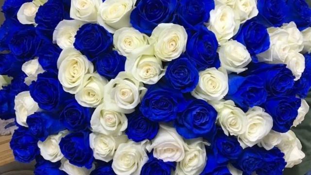 Де-Ваша декъала войла? смотреть онлайн