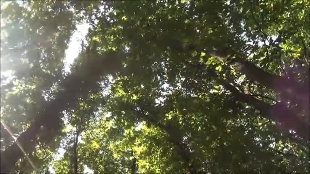 Знахарка и Знахарь - С.А.