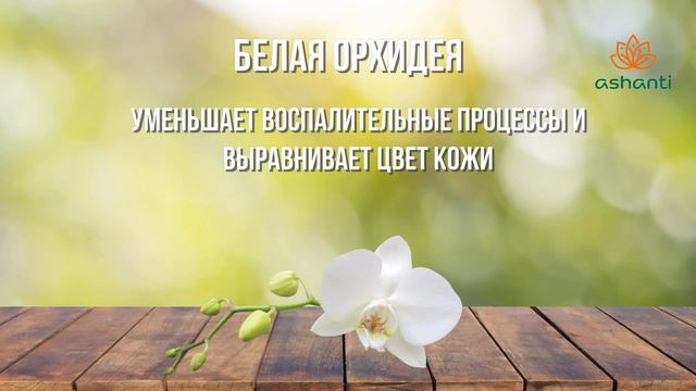 Тайский скраб для лица Organic Tai – Обзор смотреть онлайн
