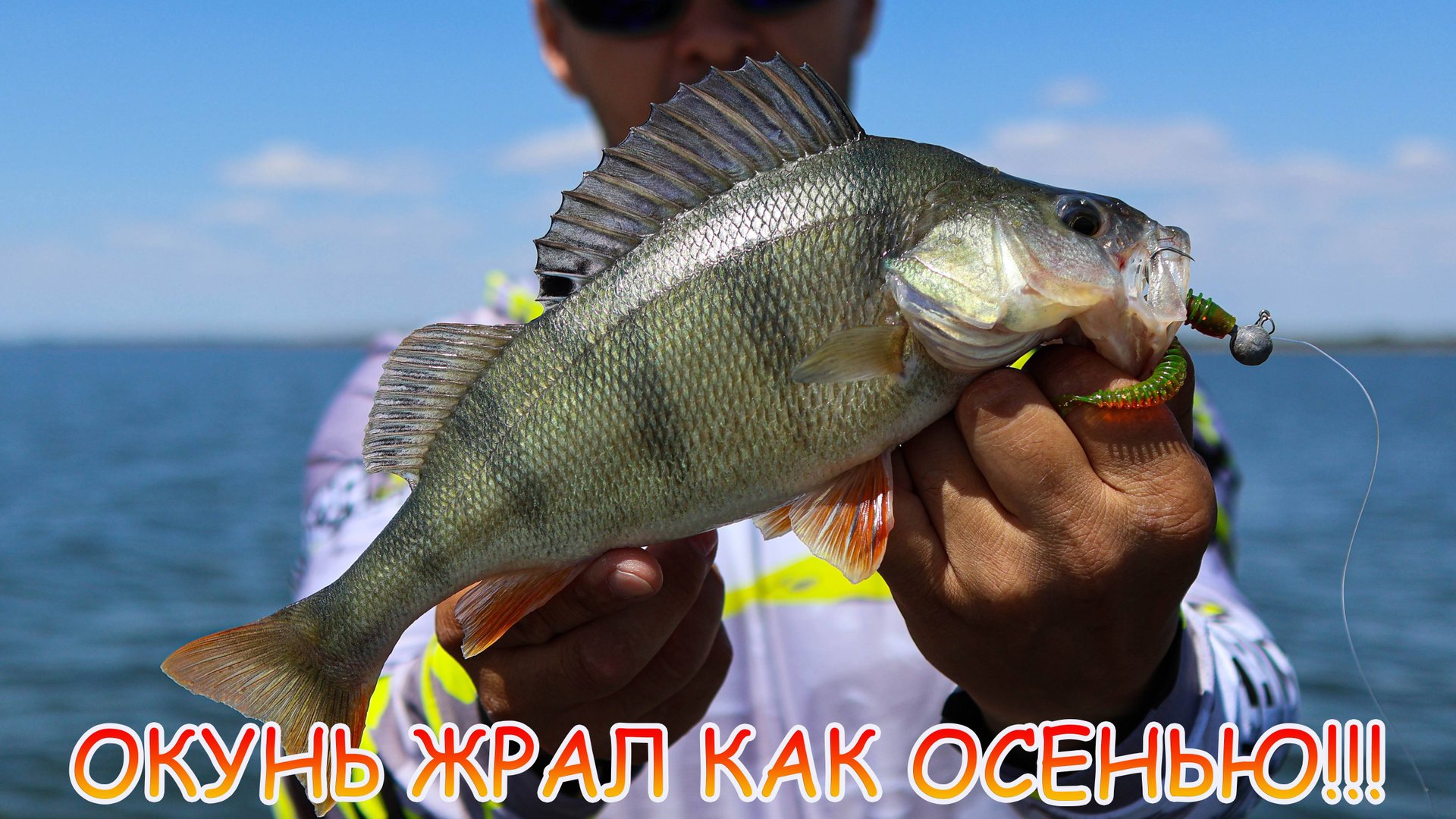 Окунь ЖРАЛ как осенью! Раздача полосатого на Тейл-спинер! смотреть онлайн