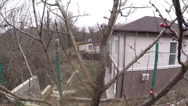 Шарафуга.Что это? смотреть онлайн