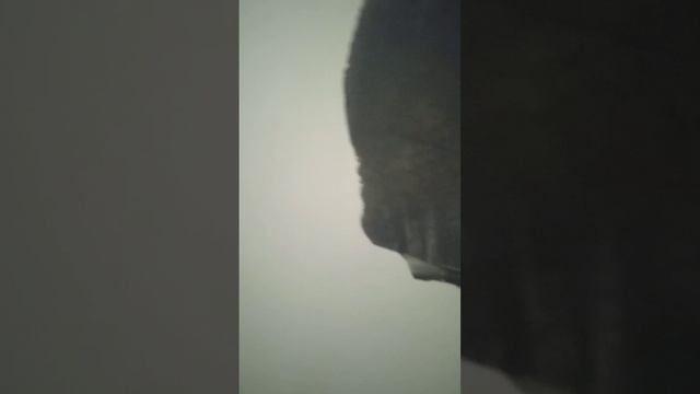 отделка стены рисунком смотреть онлайн