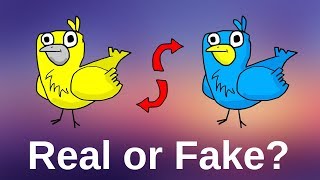 Can You Trust Your Memories? смотреть онлайн