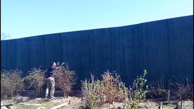 Сосед я твой забор шатал!