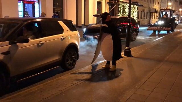 Куда идет пингвин? смотреть онлайн