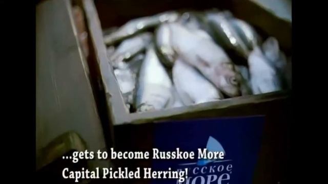 Русское Море "Селедки" смотреть онлайн