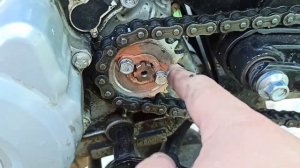 Баджадж Боксер 150 провожу эксперимент с ведущими звёздами, ч. 4.